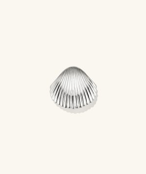 Amelia Seashell Brooch