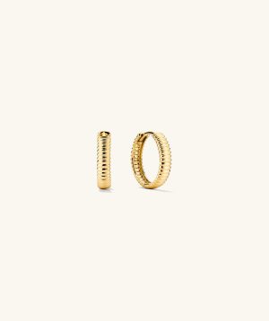 Bold Texture Small Hoops